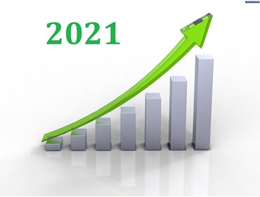 PHARMACEUTICAL INDUSTRY PROSPECTS IN 2021